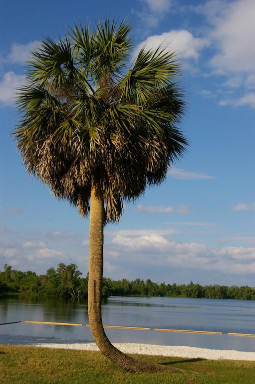 Cypress Cove Nudist Resort Poinciana Zewnętrze zdjęcie